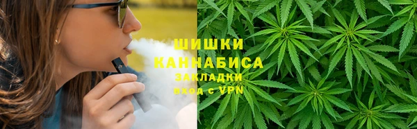 2c-b Пестово