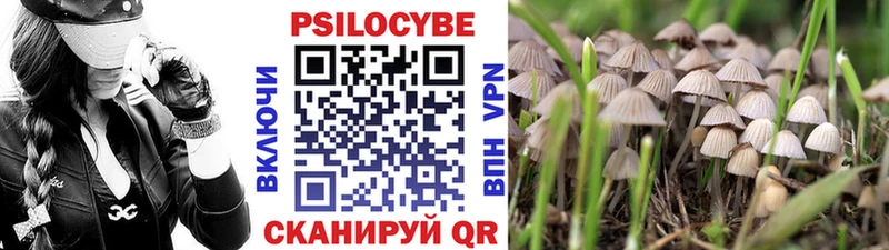 Псилоцибиновые грибы ЛСД  хочу   Чкаловск 