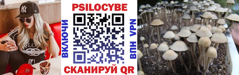 Псилоцибиновые грибы мицелий Чкаловск